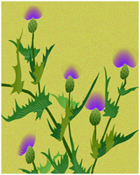 �A�v�g�̐E�l���v�������߂đh�点�܂�!!